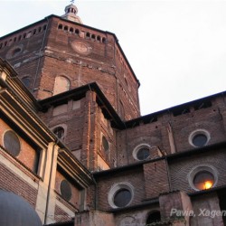 Foto 98
